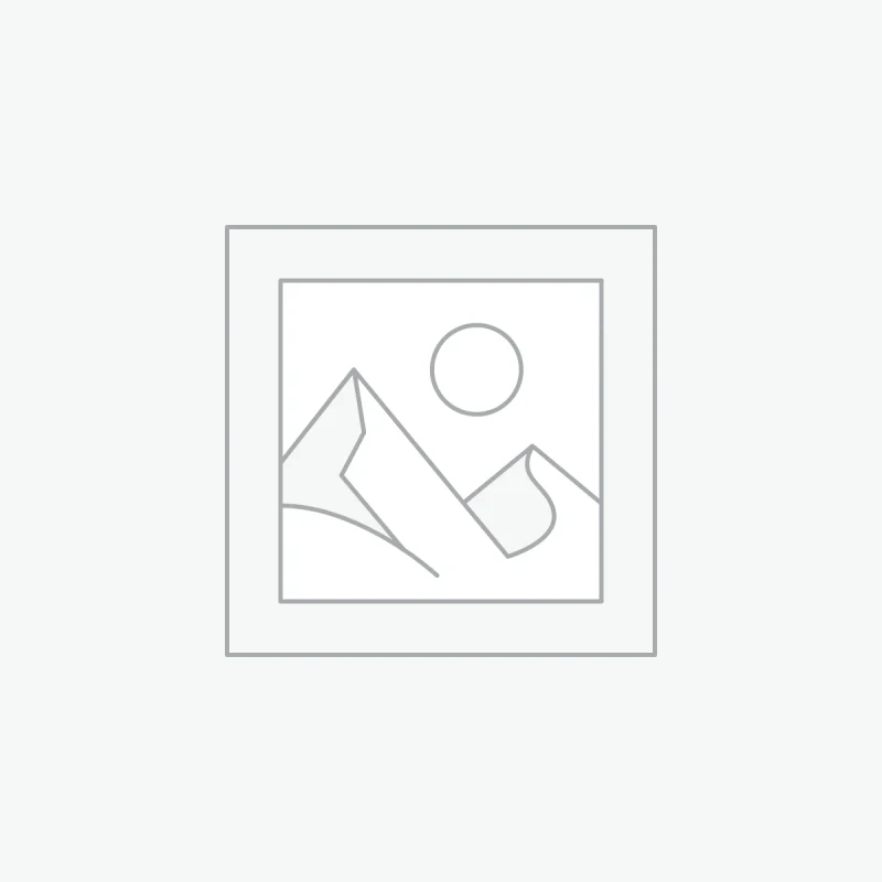 Premium Wireless Earbuds Pro